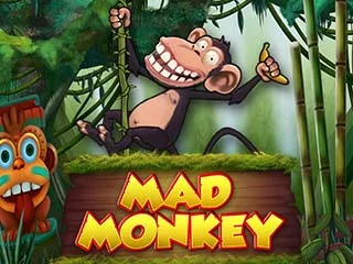 Mad Monkey